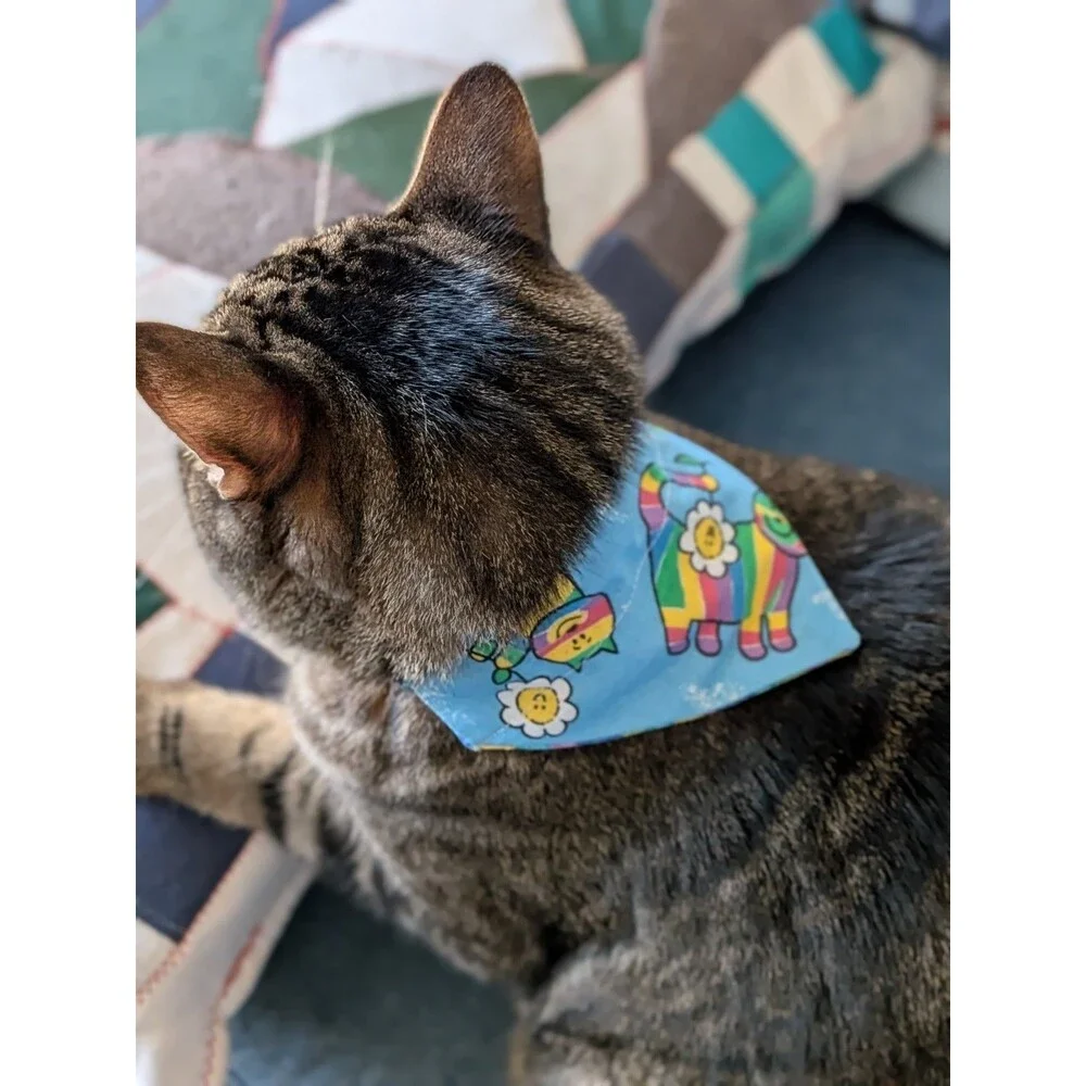 Small Dog / Cat Bandanas Lot of 12